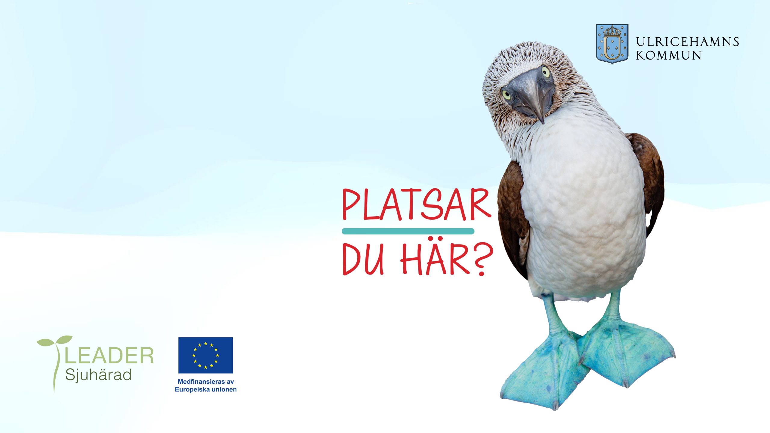 Platsar du här?