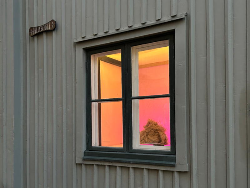 BERGET window gallery