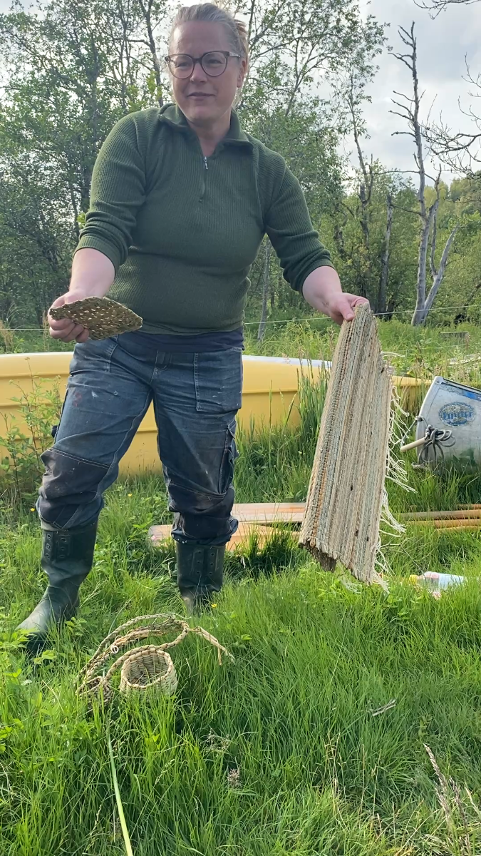 DET SUSAR I SÄVEN