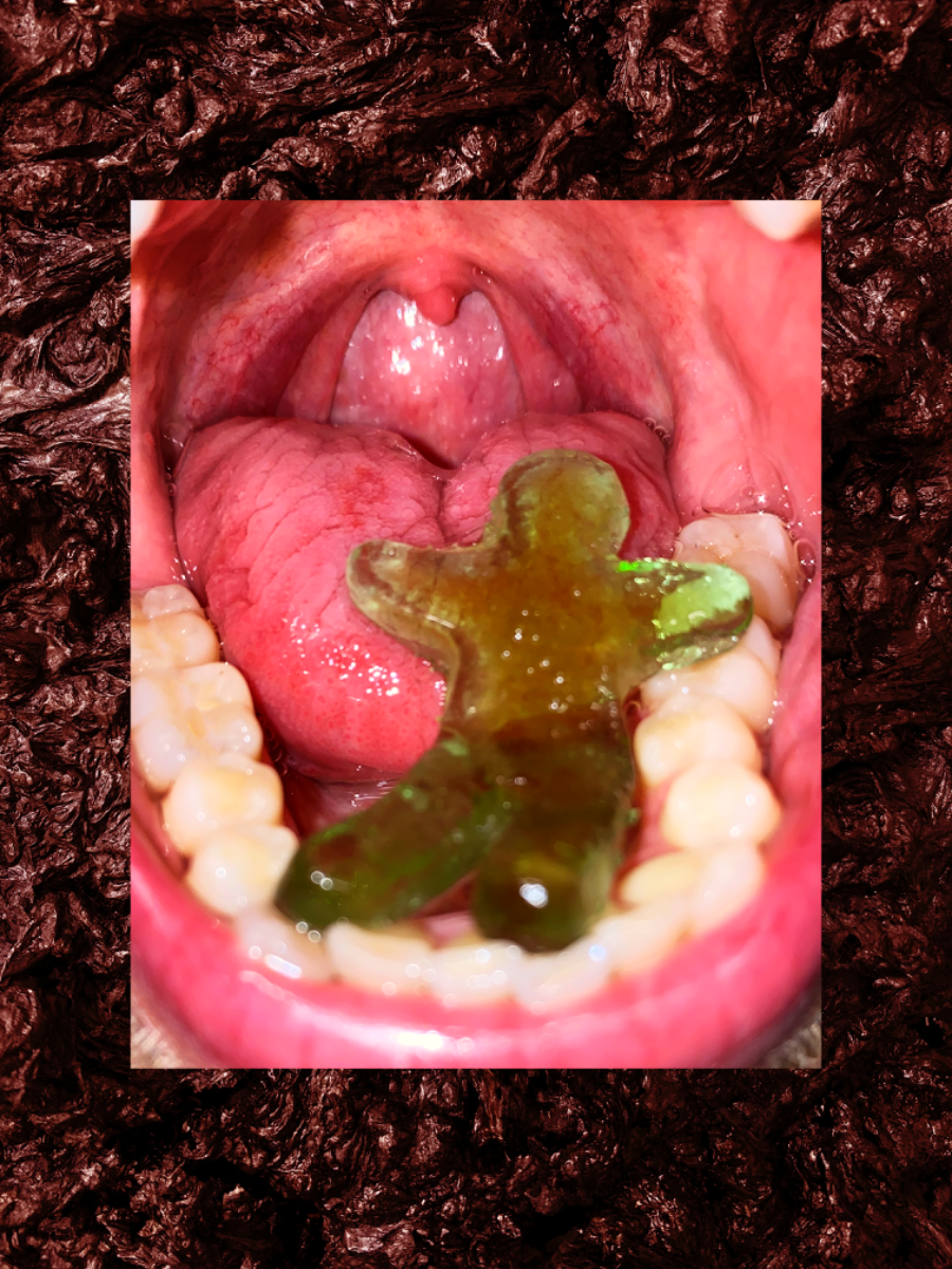 The Omnivore’s Paradox: Critical Mouthfeel of Institutions