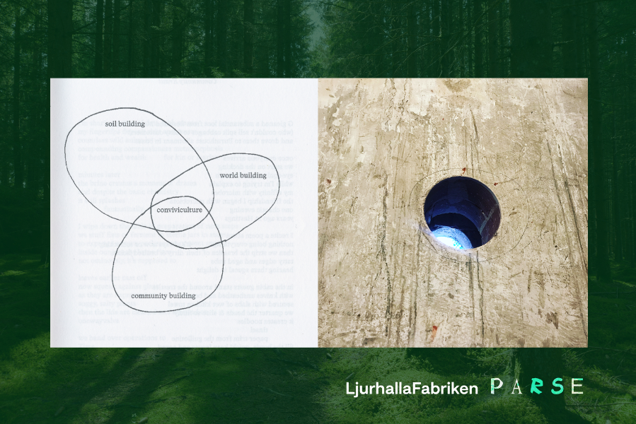 Stewardship and Structures: Enacting, Regenerating and Maintaining