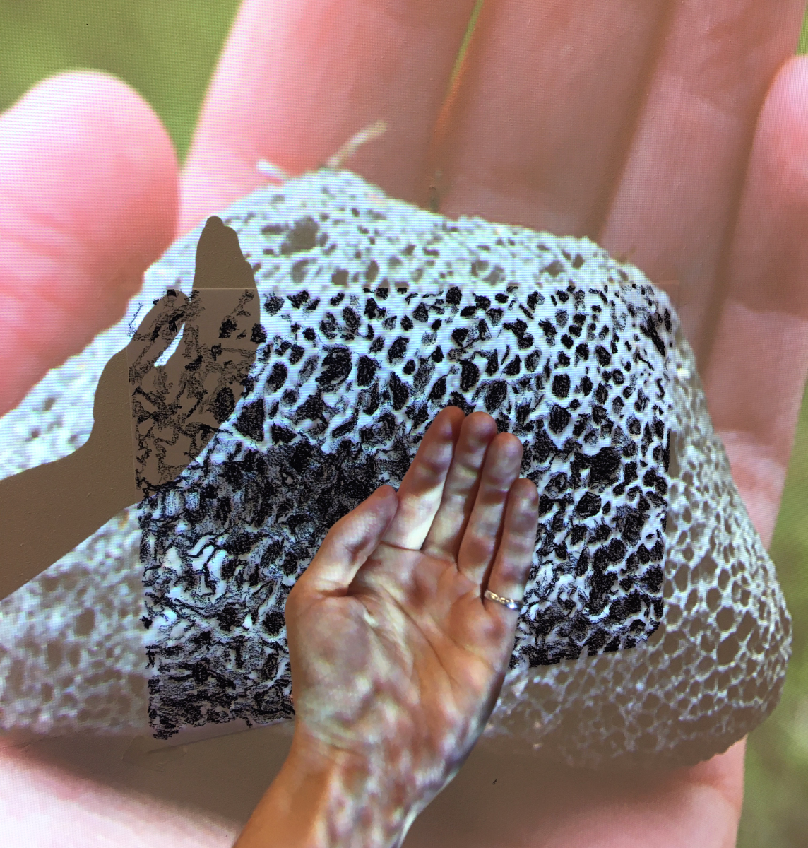 Holistic art practices